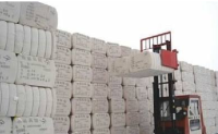 TEA敦促印度政府禁止棉花出口以阻止价格异常上涨
