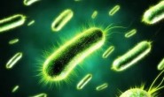 微生物萃取液染色法与菌体染色法简介