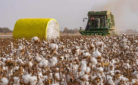 2023年全国棉花预测面积与播种进度调查