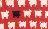 戴安娜王妃的“黑绵羊”毛衣创下史上最高毛衣拍卖价